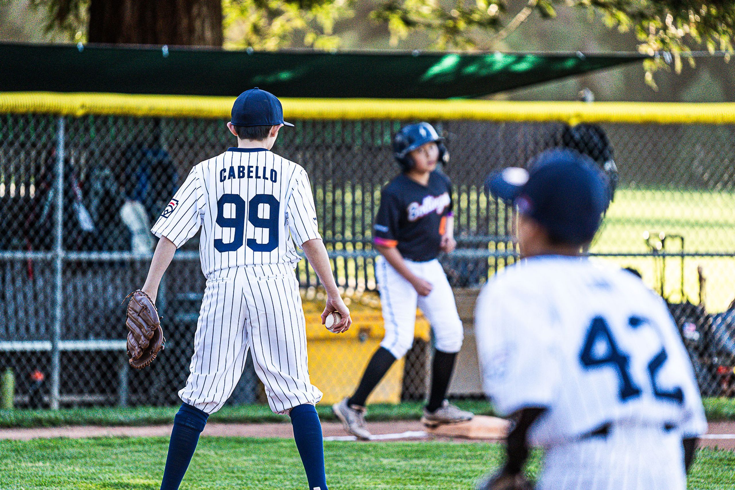 BCLL Majors Yankees Spring 2026
