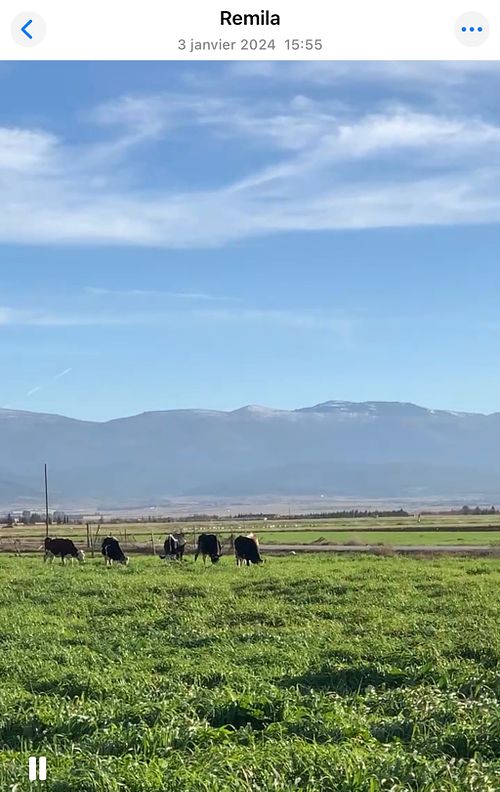Plaine de Remila