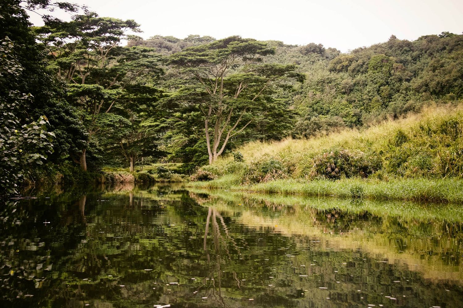 Joy Collective Photography