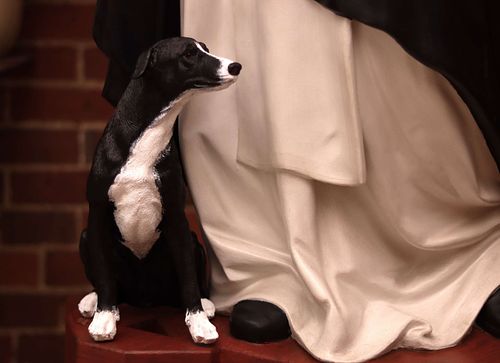 Small dog statue after repainting