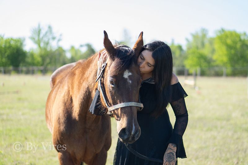 End of Life Pet Portraits