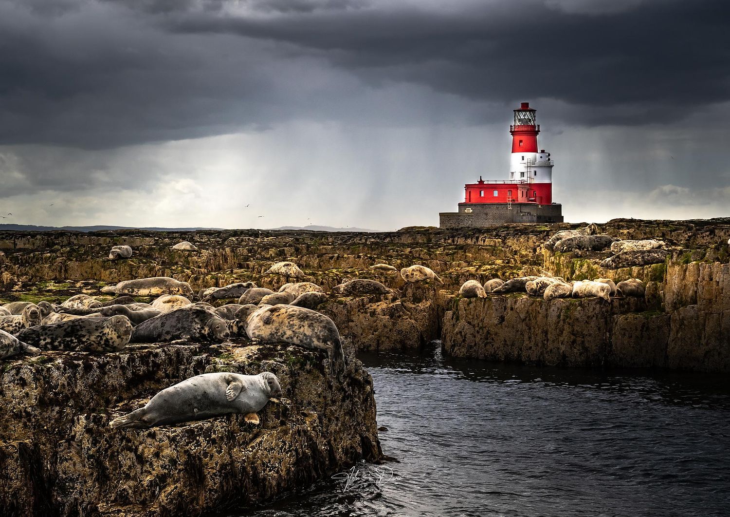 John Davie Photography