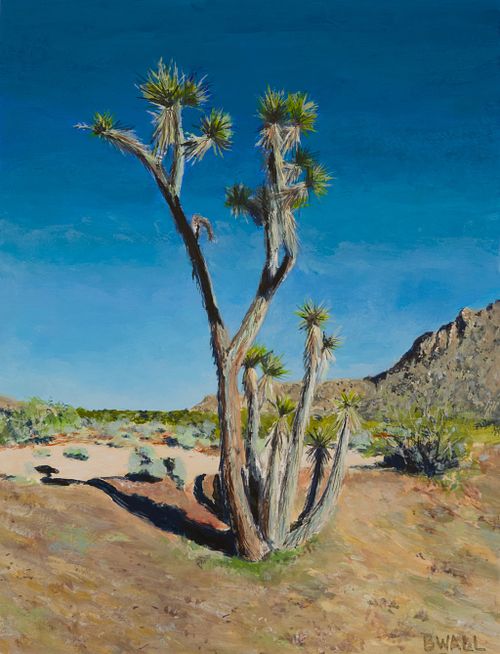 Joshua Tree on Luge Trail Section 6 JT