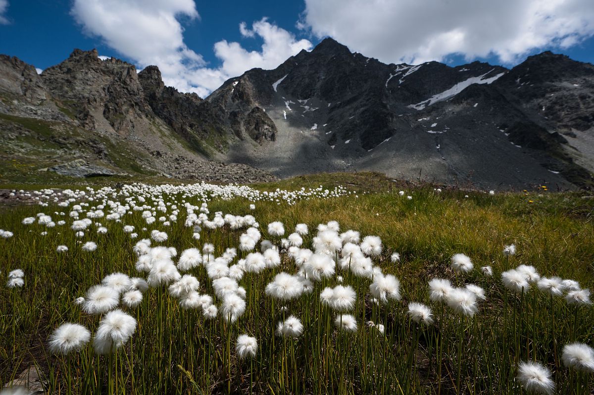 Oberengadiner Landschaft